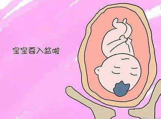 在九江做供卵试管婴儿贵吗？详解2024年供卵试管费用